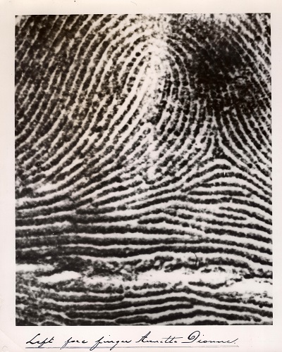 fingerprint of Annette Dionne